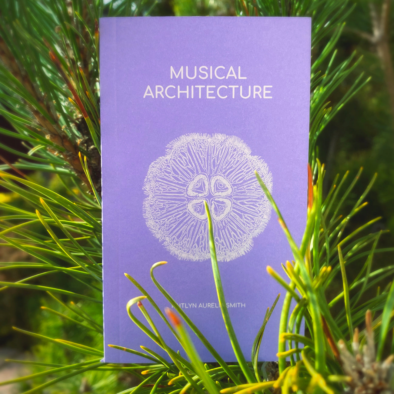 Musical Architecture Book